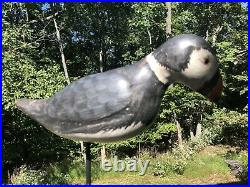 Vintage Carved Wood Atlantic Puffin Stick-Up Shorebird Duck Decoy Glass Eyes