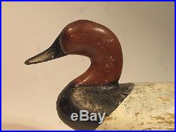 Vintage Cecil County Canvasback Drake Duck Decoy ca. 1890's Branded E. W. JACKSON