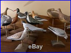 Vintage Dave Rhodes Minature Rare Shore Birds Collection 16 Birds Absecon Nj