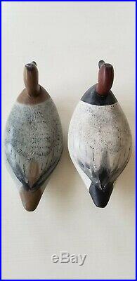 Vintage Decoys. Jim Currier(1886-1971) Havre De Grace MD Duck Goose Shorebird