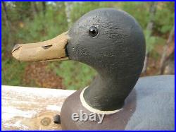 Vintage Duck Decoy Mallard Drake Tom Martindale Wolfe Island Ontario