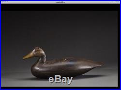 Vintage Ellis Parker Black Duck Decoy