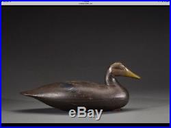Vintage Ellis Parker Black Duck Decoy