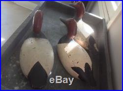 Vintage Evans Canvasback Duck Decoys