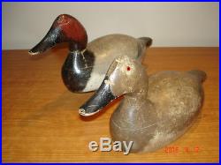 Vintage Evans Mammoth Hollow Canvasback Rigmate Pair Wisconsin Duck Decoys