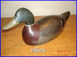 Vintage Evans Mammoth Solid Mallard Drake Wisconsin Duck Decoy