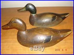 Vintage Evans Standard Solid Mallard Rigmate Pair Wisconsin Duck Decoys