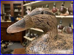Vintage Fred Hoppe Mallard Hen Hard To Find Peoria Illinois River Duck Decoy
