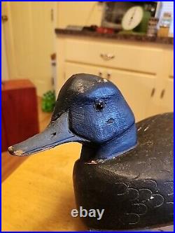 Vintage H H ACKERMAN Bluebill Duck Decoy. Stamped Feathers