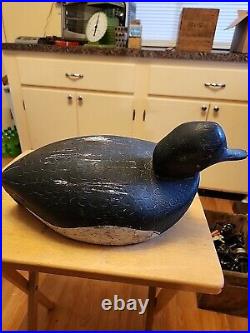 Vintage H H ACKERMAN Bluebill Duck Decoy. Stamped Feathers