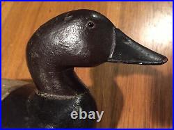 Vintage Harry Fennimore 1886-1970 Canvasback Drake Duck Decoy Possibly Orig Pt
