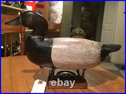 Vintage Harry Fennimore 1886-1970 Canvasback Drake Duck Decoy Possibly Orig Pt