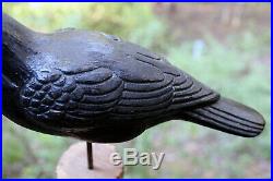 Vintage Herters Model Perfect True to Life Crow Decoy Chicago Novelty Pre-WWII