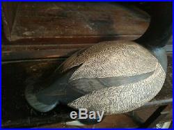 Vintage Hollow Canvasback Drake Duck Decoy By Torry Tory Ward Delta Marsh