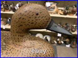 Vintage Illinois River Pintail Hen Duck Decoy Restored Nice Paint Sleek Profile