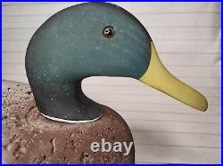 Vintage LL Bean Drake Mallard Duck Decoy Cork with Wood 20 Long Glass Eyes