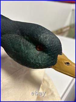 Vintage Loon Lake Decoy Feeding Mallard Duck Design By Sam Nottleman