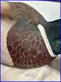 Vintage Loon Lake Decoy Feeding Mallard Duck Design By Sam Nottleman