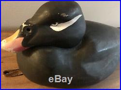 Vintage Maine White-Winged Scoter Sea Duck Decoy Working Glass Eyes Signed