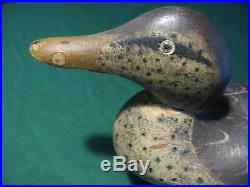 Vintage Mason Mallard Hen Duck Decoy Very Nice Paint Very Good Shape Look