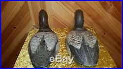 Vintage Myron (Mike) Frisque canvasback, duck decoy, rigmate pair, Casey Edwards