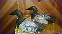 Vintage Myron (Mike) Frisque canvasback, duck decoy, rigmate pair, Casey Edwards