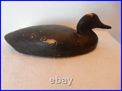 Vintage New Jersey Black Duck Wood Decoy