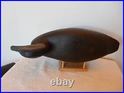 Vintage New Jersey Hollow Carved with Rattle Black Duck Wood Decoy