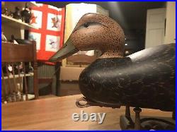 Vintage Old Unused Black Duck Decoy By Ed Coradetti Bristol Pa Orig Paint Hollow