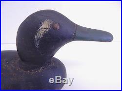 Vintage Original Oscar Peterson Carved & Painted Black Duck Decoy Folk Art