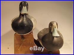 Vintage PAIR of Blue Bill Decoys by Charlie Bryan Signed ca. 1960's