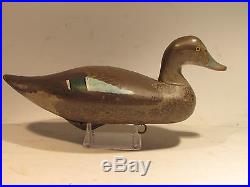 Vintage PAIR of Blue Wing Teal Duck Decoys by Jobes / Mitchell S&D 1955 Branded