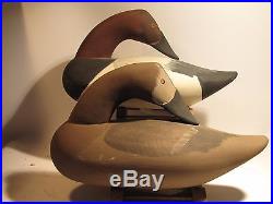 Vintage PAIR of Rare Preening Canvasback Duck Decoys by Paul Gibson S&D 1982