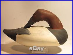 Vintage PAIR of Rare Preening Canvasback Duck Decoys by Paul Gibson S&D 1982