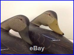 Vintage Pair of Allan Schauber Chesapeake Bay, Sleeper Black Duck Decoys