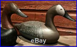 Vintage Pair of Chesapeake Bay High Head Canvasback Duck Decoys, Hunting, Goose