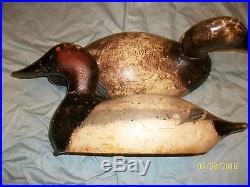 Vintage Pair of MAMMOTH EVANS CANVASBACK PAIR wooden decoys