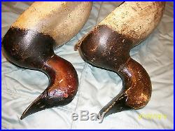 Vintage Pair of MAMMOTH EVANS CANVASBACK PAIR wooden decoys