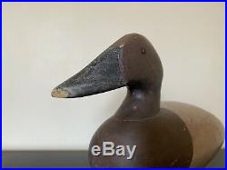 Vintage Paul Gibson Canvasback Duck Decoy Havre de Grace Maryland Upper Bay
