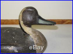 Vintage Perry Wilcoxen liverpool Ill, Original Paint Pintail Drake Duck Decoy