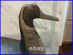 Vintage Pintail Drake Decoy By California Carved Seth Tiny Barry