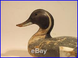 Vintage Pintail Drake Duck Decoy by The Ward Bros. Ca. 1940's
