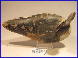 Vintage Pintail Drake Duck Decoy by The Ward Bros. Ca. 1940's