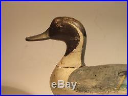 Vintage Pintail Drake Duck Duck Decoy by Madison Mitchell ca. 1930's O. P