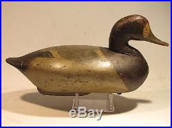 Vintage Rare Daddy Holly Blue Bill Hen Duck Decoy ca. 1880's with Iron Keel