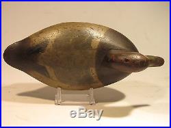 Vintage Rare Daddy Holly Blue Bill Hen Duck Decoy ca. 1880's with Iron Keel