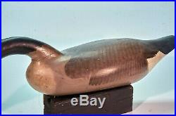 Vintage Rare Signed R Madison Mitchell Swimming Canada Goose Decoy 1958