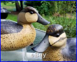 Vintage Ruddy Duck Delaware River Duck Decoy Matched Pair Bob White Tullytown Pa