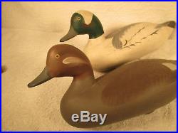Vintage S&d Pair O/p Bufflehead Duck Decoys By R. Madison Mitchell