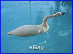 Vintage Tundra Swan (Whistling Swan) Decoy Hand Carved Very Large & Graceful